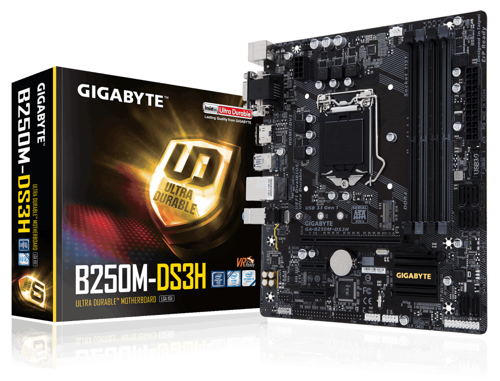 1151 GIGABYTE GA-B250M-DS3H rev.1.0