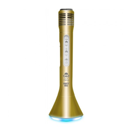 iDance (029397) Microphone PM10 Gold 