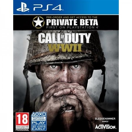 Activision Blizzard PS4 Call of Duty: WWII